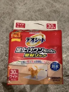 Item thumbnail for item b92f04c1-4245-4f9c-bb9b-12ae65e9bc52