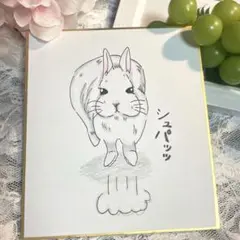 まろのてしごと便 「ぴょんぴょん日和」 色紙