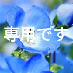 【IL BISONTE 財布 】ウォレット レッド 赤 シボ革 刻印ロゴ