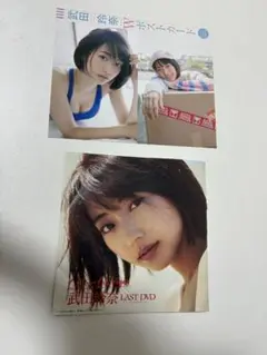武田玲奈 dvd「LAST DVD L.A.-Las Vegas」Wポストカード