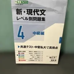 新・現代文レベル別問題集④ 中級編