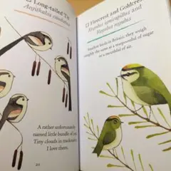 「SALE中*.✧」可愛い(•ө•)♡ 鳥の洋書✧*。