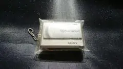 Item thumbnail for item 6a4fd794-3260-46c1-a1e4-fb98a6fa10fe