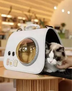 Item thumbnail for item eb48fc21-bb46-4357-8e7c-c23812077618