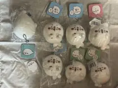 ナガノの水族館 アザラシぬいぐるみくじ D賞　全種類　アクリルバッジ マスコット