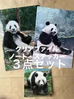 Item thumbnail for item 7ece3120-55f9-4bc8-9a92-411b5c2b0efa