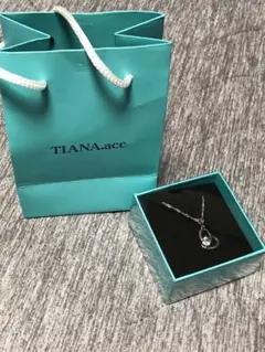 TIANA.acc ネックレス おまけ付 ショルダー·クラッチバッグ 2way他 TIANA.accネックレス おまけ付き 2点 ショルダークラッチバッグ