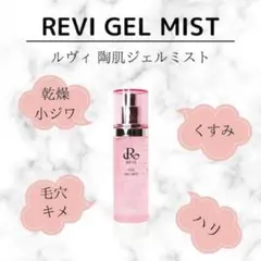 REVI ルヴィ 陶肌ジェルミスト