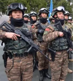 【2024年最新】中国人民武装警察部隊の人気アイテム - メルカリ