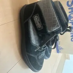 バンズ　フルキャブ