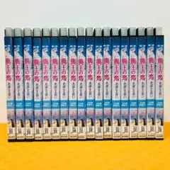 『龍王の恋 ～永遠なる誓い～』全18巻セット レンタル使用済DVD