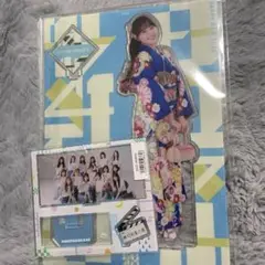 日向坂46 絶対的第六感 平岡海月 アクリルスタンド