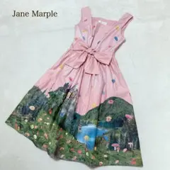 新品タグ付き ジェーンマープル Dreamy Dreamドレス ワンピース