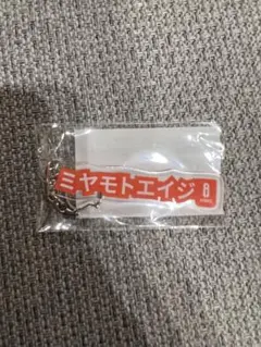 くじコレB賞 アルビレックス新潟　宮本英治