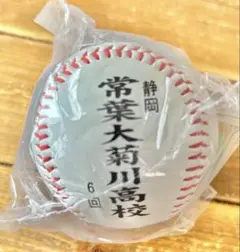 常葉大菊川高校の第97回選抜高等学校野球大会記念ボール