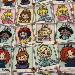 LABUBU プリンセス　シンデレラ　ぬいぐるみ　シークレット　布　生地　綿ポリ