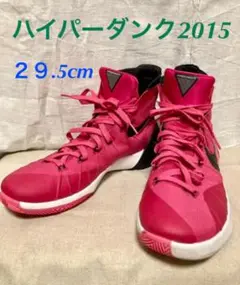 NIKE ハイパーダンク 2015EP 29.5cm バッシュ