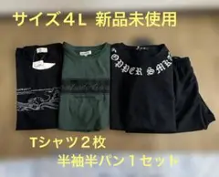 【最終値下げ‼︎】４Lサイズ　Tシャツ他セット