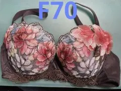 サルート63G ブラF70 ショーツL 新品未使用
