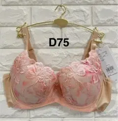 トリンプ　天使のブラ　魔法のハリ感TR606 ブラジャー　ベージュ　D75