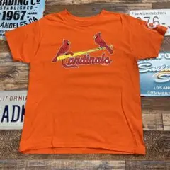 MLB セントルイス・カージナルス Tシャツ