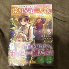家出兄弟二人旅 2