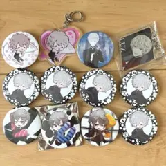 luz XYZ TOUR 缶バッジ、アクキー　計12個セット
