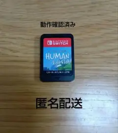 ヒューマンホールフラット Nintendo Switch 日本版