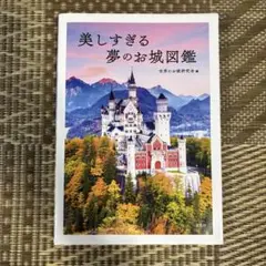 美しすぎる夢のお城図鑑