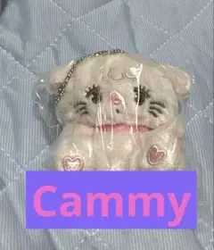 みっこキャラクターズぬいぐるみ　キャミー