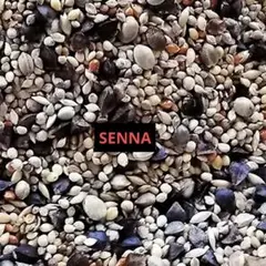 Item thumbnail for item b5c32835-eecc-4772-80ad-de48854a1415