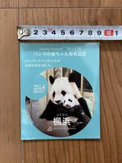 2025年最新】楓浜 命名の人気アイテム - メルカリ