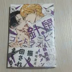 新品（シュリンク有）★針鼠とコントラスト　2巻★ほとなか