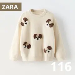 ZARA キッズ　パピーニットセーター