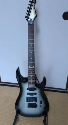 AriaProII Magna series アリアプロ 希少カラー 送料無料 ARIA（楽器） AriaProII Magna series Electric Guitar アリア