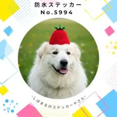 Item thumbnail for item a77b7162-527b-4160-beb2-6999780631d4