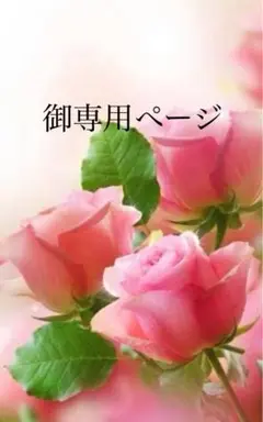 ☆御専用ぺ－ジ☆