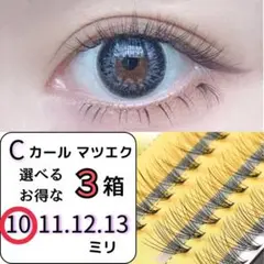 Item thumbnail for item da0ab191-3e17-496d-80bf-241bea148c2c