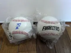 日本ハムファイターズ練習ボール 2個セット＋シーズン開幕記念球