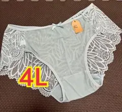 大きいサイズ4L xxxl ショーツ