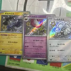 色違い！