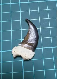 爪