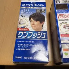 メンズビゲン ワンプッシュ 5 ナチュラルブラウン 80g