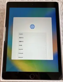 iPad 本体 第5世代 A1822 シルバー