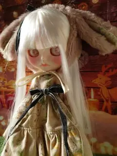 カスタムアイシードール 本体のみ