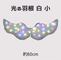 Item thumbnail for item 21227e66-b0ab-4edd-b4cb-b9031865e97d