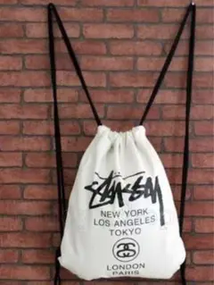 新品ステューシーキャンバスバッグ リュック ——白