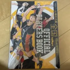 ハイキュー　オフィシャルプレイヤーズブック　公式パンフレット　複製原画