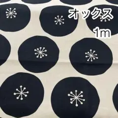 1m あんぱん ブラックドット オックス