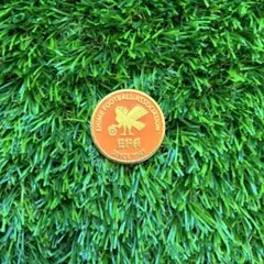 サッカー フットサル レフェリー レフリー 審判 トスコイン コイントス コイン